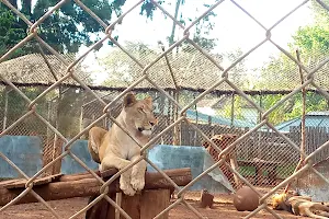 Nairobi Animal Orphanage image