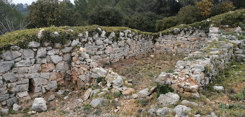 Oppidum de Taradeau à Taradeau