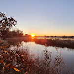Photo n°1 de l'avis de Sonia.v fait le 03/12/2023 à 16:03 sur le  Ristorante La Baracca Sas à Volano