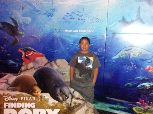 Movie Theater «Harkins Theatres Gateway Pavilions 18», reviews and photos, 10250 W McDowell Rd, Avondale, AZ 85392, USA