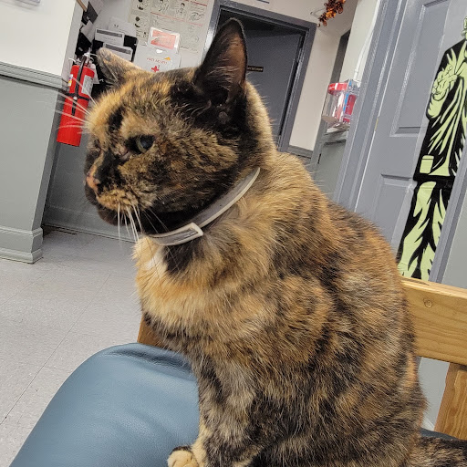 Home Improvement Store «The Home Depot», reviews and photos, 172 Fulton Ave, Hempstead, NY 11550, USA