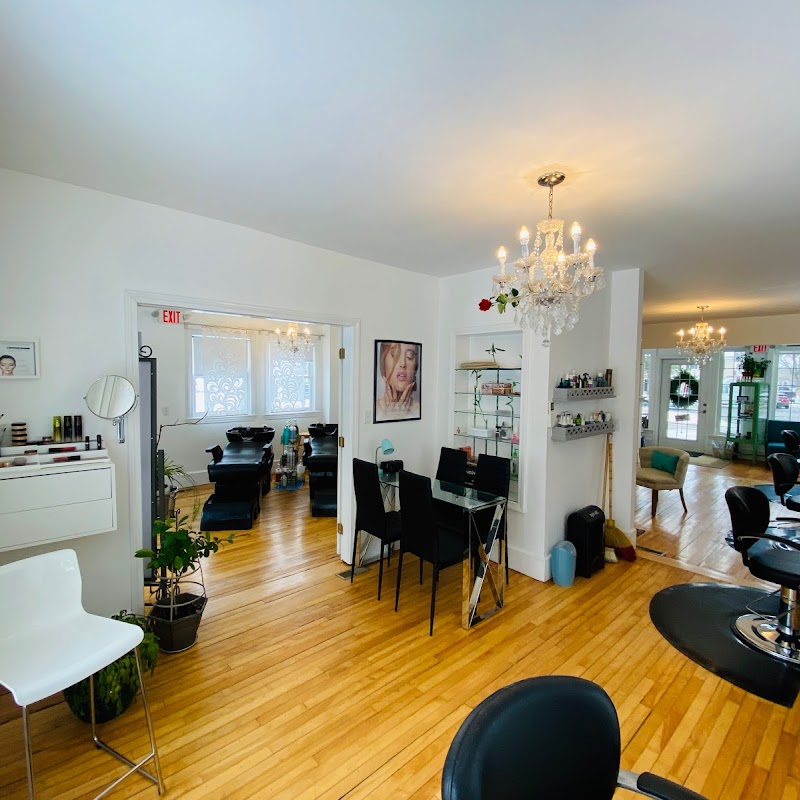 Organic Roots Salon and Day Spa