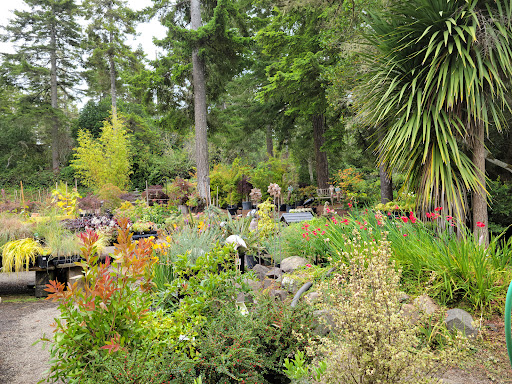 General Contractor «Laurel Bay Gardens Inc», reviews and photos, 88493 US-101, Florence, OR 97439, USA