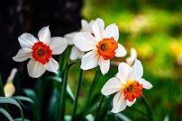 Large Metal Prints - Photo 2 - Car repair in Pleasant Hill, CA, Concord