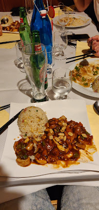 Plats et boissons du Restaurant chinois Plumes de Pékin 京羽阁 à Blois - n°11
