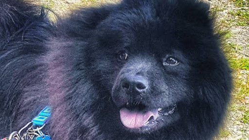 State Park «Hook Mountain State Park», reviews and photos, N Rte 9W, Nyack, NY 10960, USA