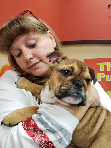 Pet Store «Petland», reviews and photos, 920 Hebron Rd, Heath, OH 43056, USA