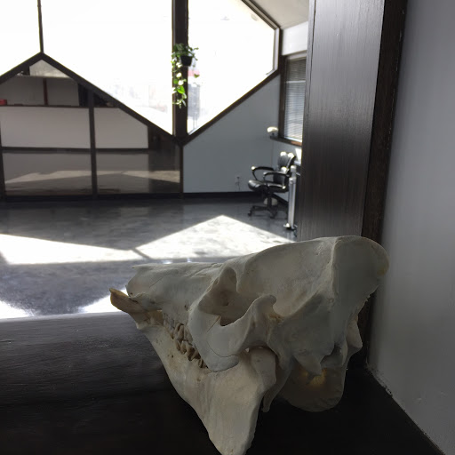 Explore middle finger tattoo ideas, creative tattoo ideas in Tallmadge, available at Killjoy tattoo