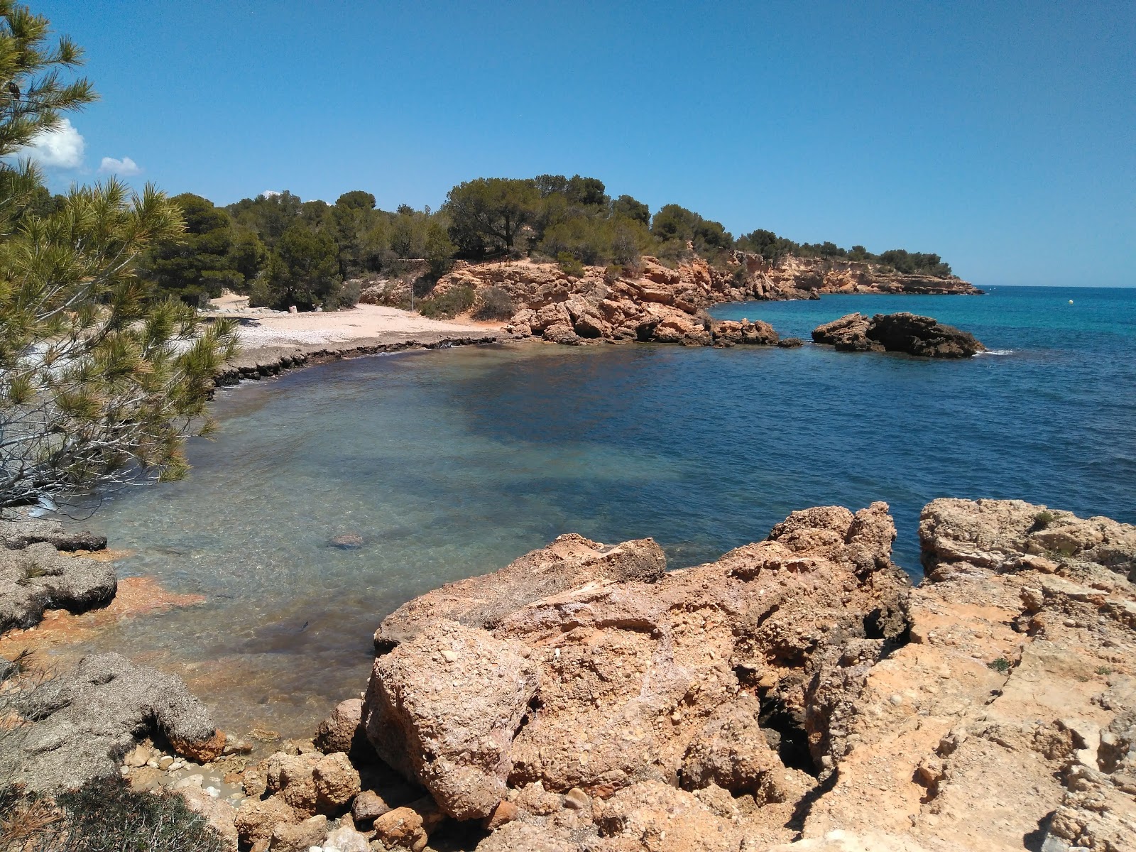 Photo of Cala Estany Podrit with green water surface