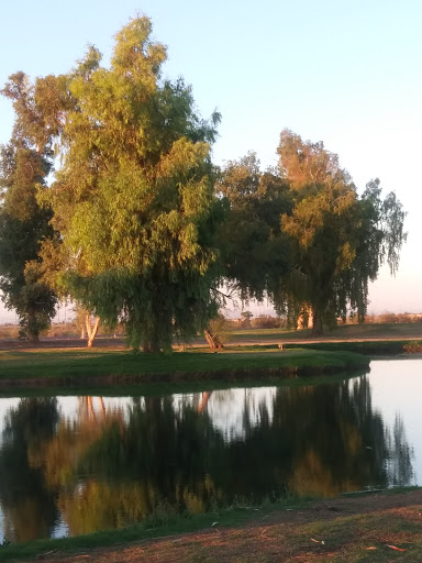 Golf Course «Tres Rios Golf Course», reviews and photos, 15205 W Vineyard Ave, Goodyear, AZ 85338, USA