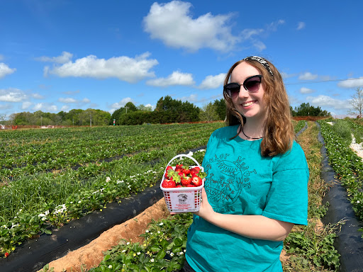 Farm «Warbington Farms (U-Pick Strawberries)», reviews and photos, 5555 Crow Rd, Cumming, GA 30041, USA