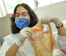 COBACH 145 South Campus Tuxtla photo