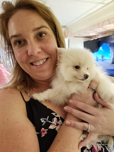 Pet Store «Puppy Boutique Store», reviews and photos, 4001 N Federal Hwy, Fort Lauderdale, FL 33308, USA