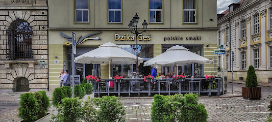 Dzika Gęś - plac Orła Białego 1, 70-562 Szczecin, Poland