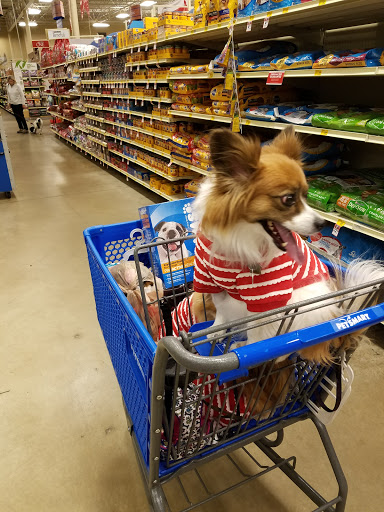 Pet Supply Store «PetSmart», reviews and photos, 6535 Frontier Dr, Springfield, VA 22150, USA