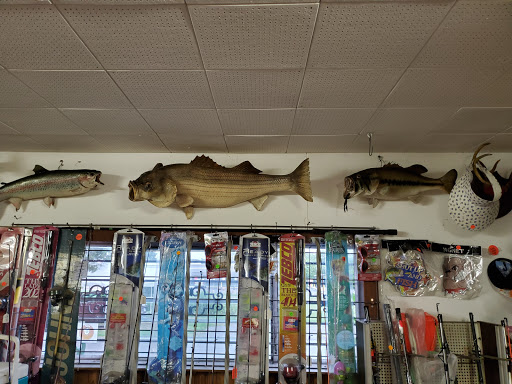 Buschs Bait Shop