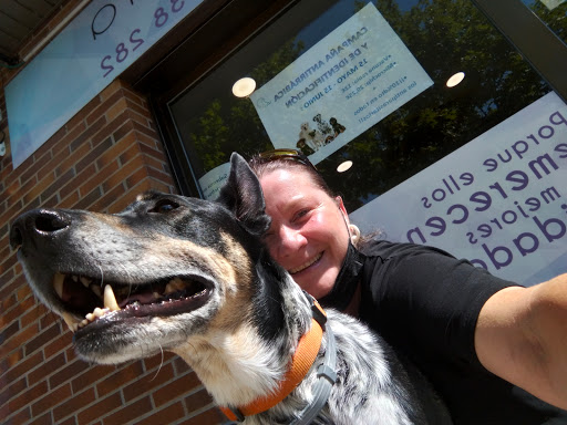 Clínica Veterinaria Las Rozas Zarcovet en Las Rozas de Madrid