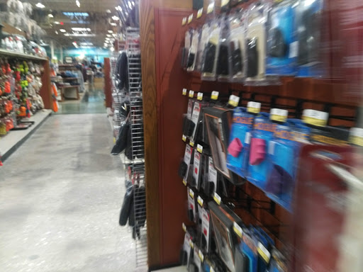 Sporting Goods Store «Bass Pro Shops», reviews and photos, 750 Bass Pro Dr NE, Palm Bay, FL 32905, USA