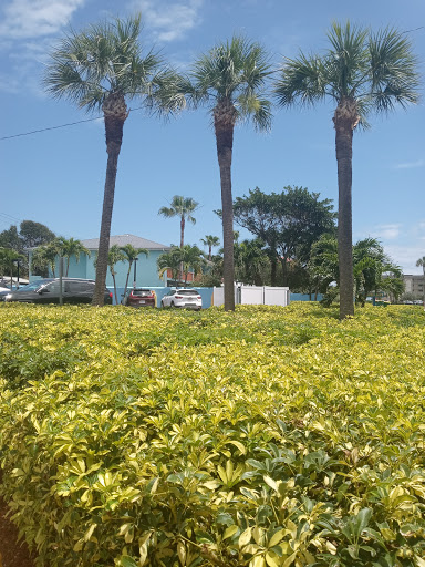 Clothing Store «Ron Jon Surf Shop», reviews and photos, 4151 N Atlantic Ave, Cocoa Beach, FL 32931, USA