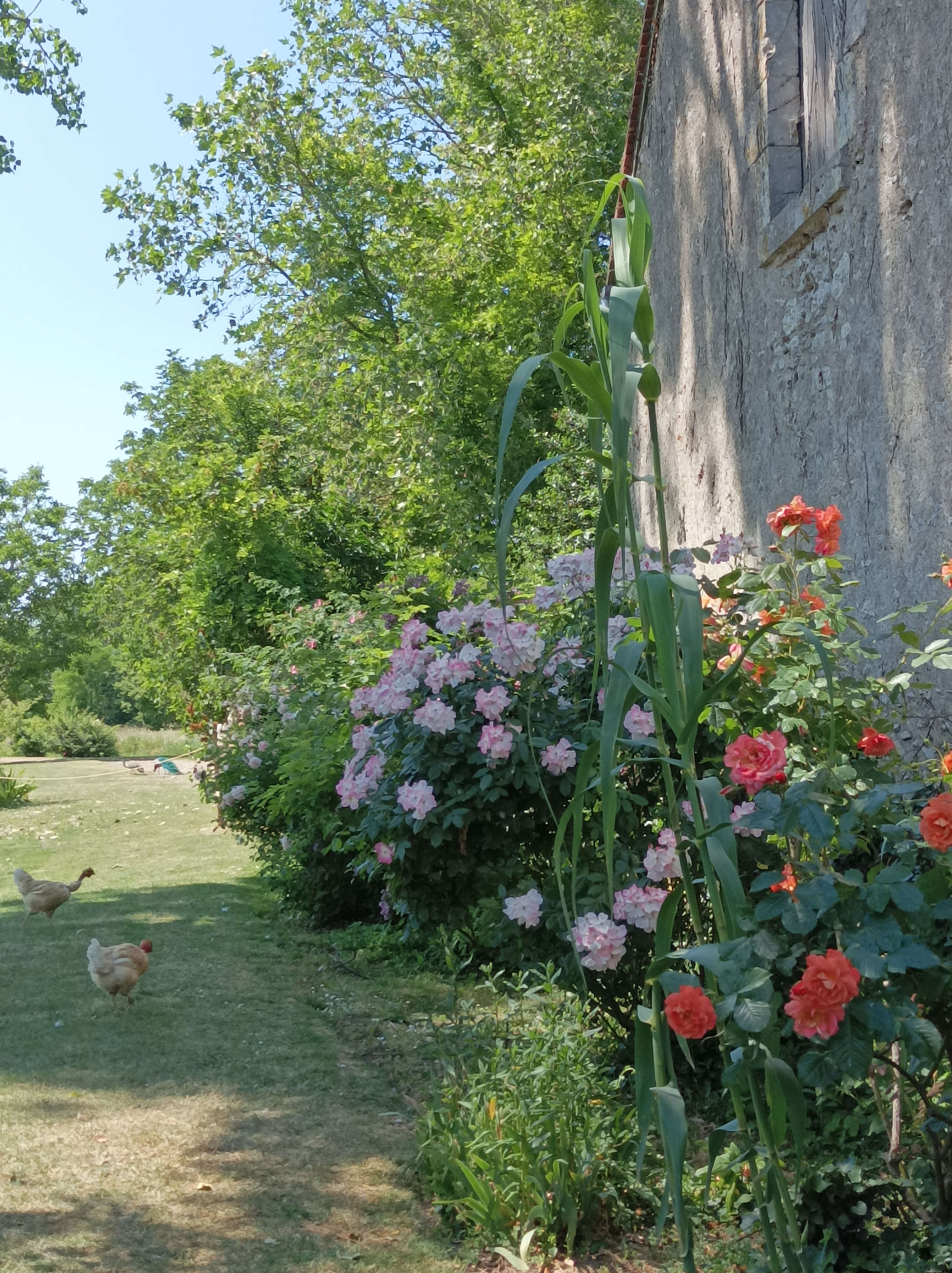Photo n° 2 de l'avis de Mélanie.i fait le 10/06/2023 à 13:15