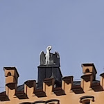 Photo n°1 de l'avis de Evelyn.r fait le 29/10/2023 à 18:15 sur le  Schloss Neutrauchburg à Isny im Allgäu