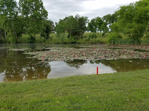 Public Golf Course «Birdwood Golf Course», reviews and photos, 410 Golf Course Dr, Charlottesville, VA 22903, USA