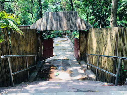 National Bonsai Park, Lodhi Garden