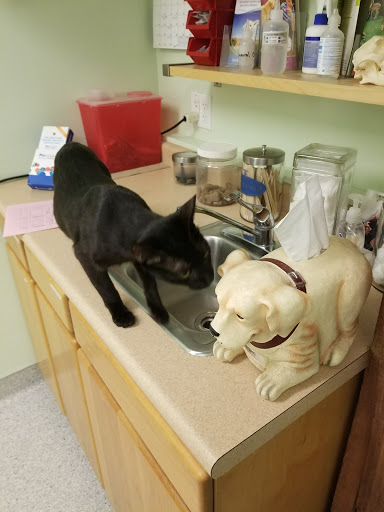 28727 216th Ave SE, Kent, WA 98042, USA