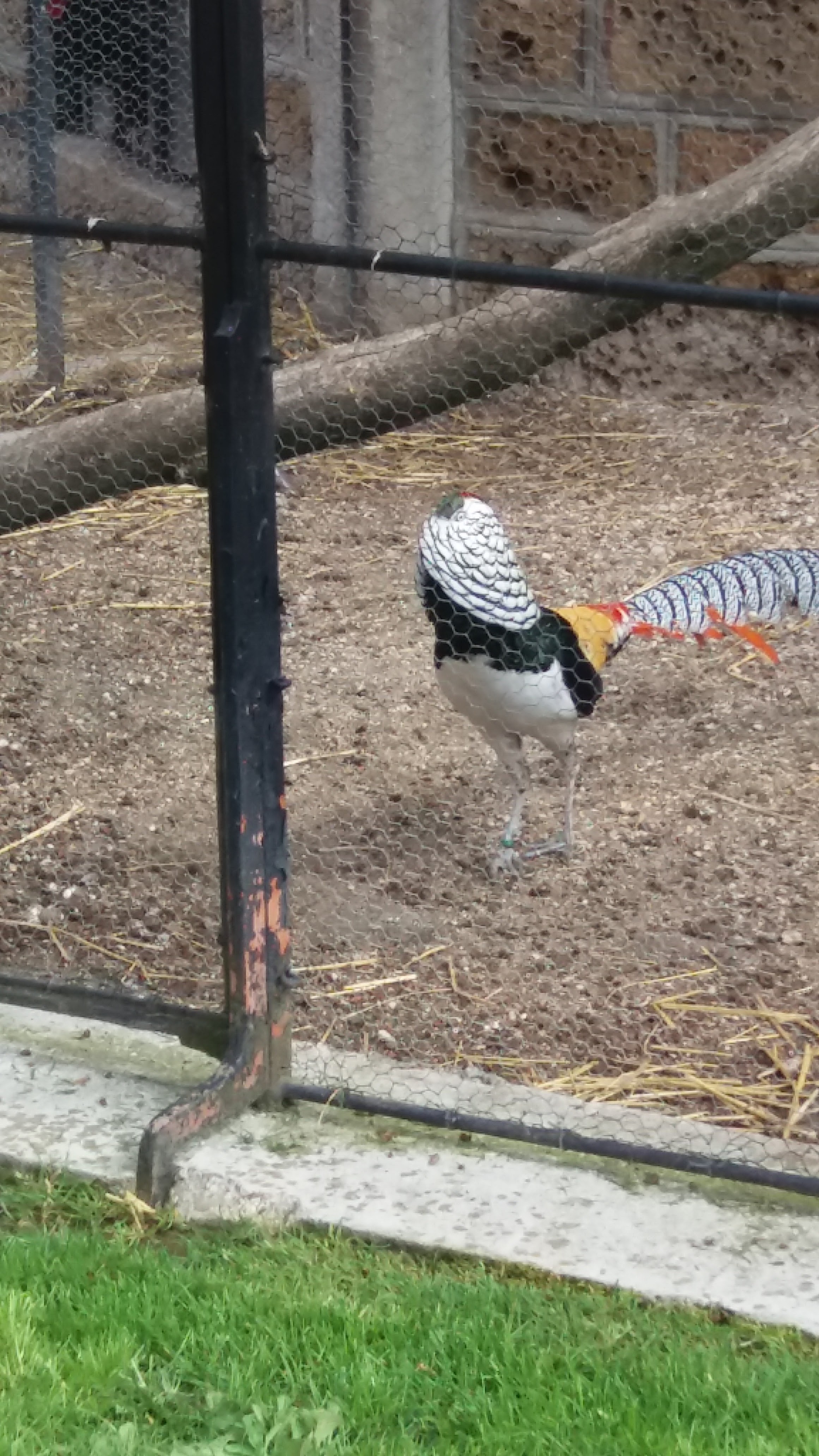 Photo n° 3 de l'avis de Jose.o fait le 22/05/2019 à 12:28