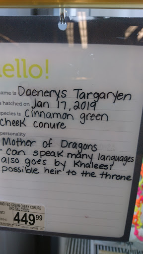 Pet Supply Store «Petco Animal Supplies», reviews and photos, 2807 Wilma Rudolph Blvd, Clarksville, TN 37040, USA