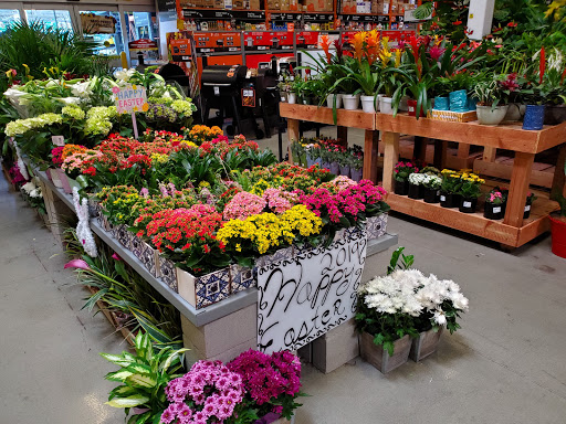 Home Improvement Store «The Home Depot», reviews and photos, 8850 San Ysidro Ave, Gilroy, CA 95020, USA
