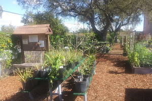 Clearwater Community Gardens, Inc