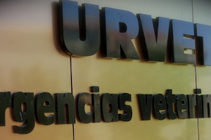 EMERGENCY VETERINARY FUENGIROLA Urvet image