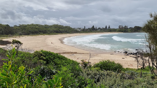 Gannet Beach