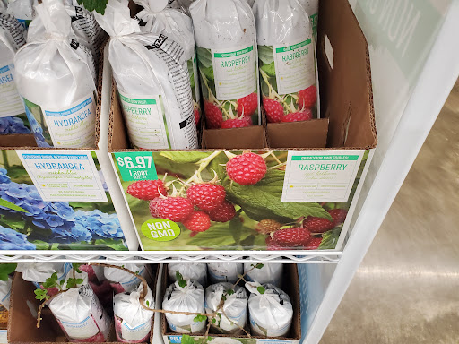 Department Store «Walmart Supercenter», reviews and photos, 1200 N Main St, Suffolk, VA 23434, USA