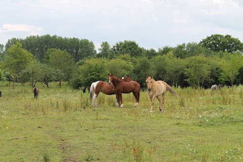 Centre Equestre Des Vallees à Pouan-les-Vallées