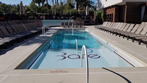 Bare Pool Lounge - photo 2