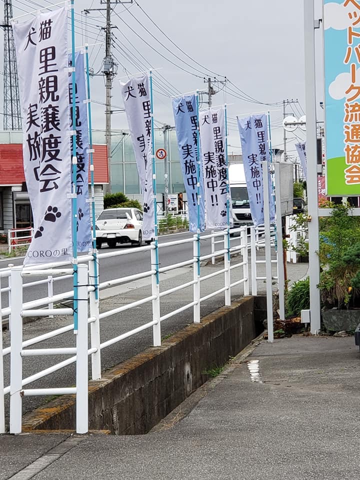 関東ペットオークション