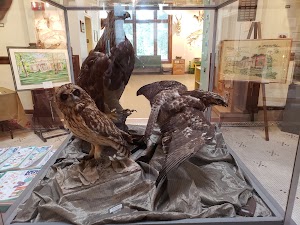 Elgin Public Museum - photo 83