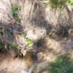 Photo n°17 de l'avis de Dave. fait le 30/05/2021 à 13:20 sur le  Petersberger Leger Alm à Deutschnofen