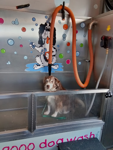 Pet Groomer «Belly scRubs Self Service Pet Wash», reviews and photos, 119 WV-34 #1, Hurricane, WV 25526, USA