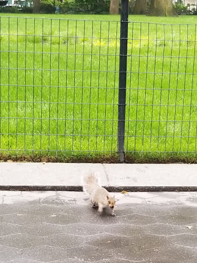 Park «Madison Square Park», reviews and photos, 11 Madison Ave, New York, NY 10010, USA