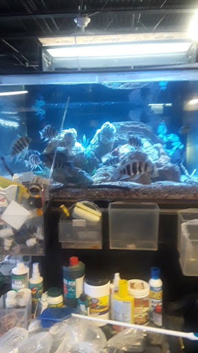 Tropical Fish Store «Jurassic Aquatics & Pets», reviews and photos, 1413 Golden Gate Blvd E, Cleveland, OH 44124, USA