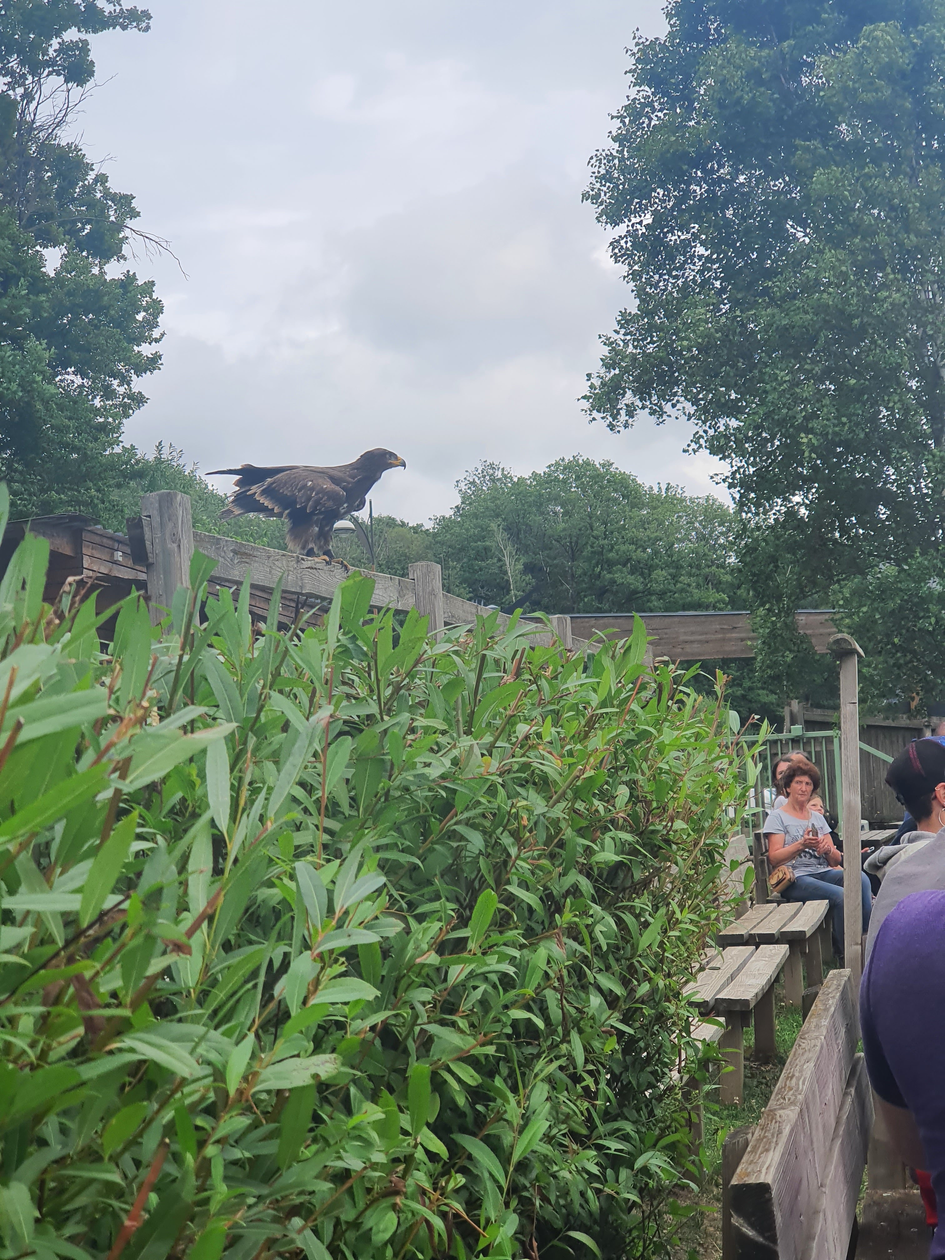 Photo n° 12 de l'avis de Mickael.e fait le 15/07/2023 à 13:18