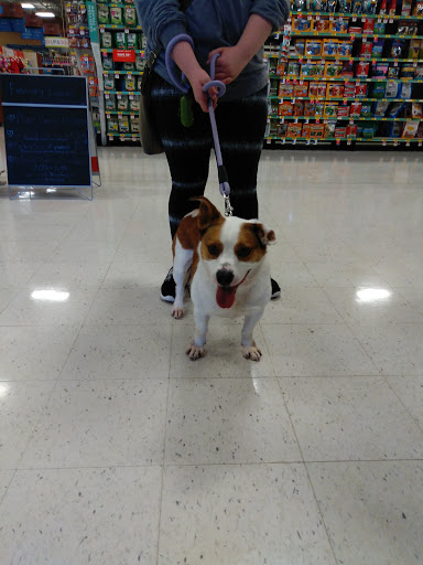 Pet Supply Store «PetSmart», reviews and photos, 215 N Burkhardt Rd, Evansville, IN 47715, USA