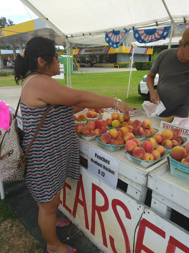 Used Car Dealer «CarMax», reviews and photos, 2756 Ross Clark Cir, Dothan, AL 36301, USA