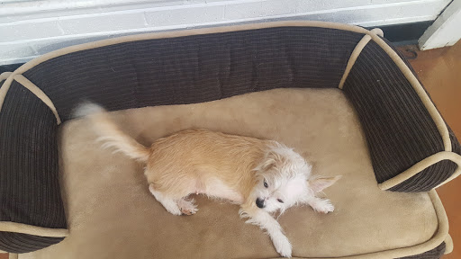 Computer Repair Service «NRH Cell Phone Repair and Computer Repair», reviews and photos, 7109 Boulevard 26 #16, North Richland Hills, TX 76180, USA