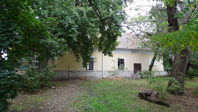 Zlinszky-kúria - Múzeum