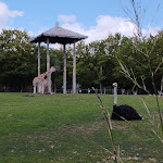 Photo n° 7 de l'avis de Julie.o fait le 08/07/2023 à 21:46 pour Zoo d'Amnéville à Amnéville