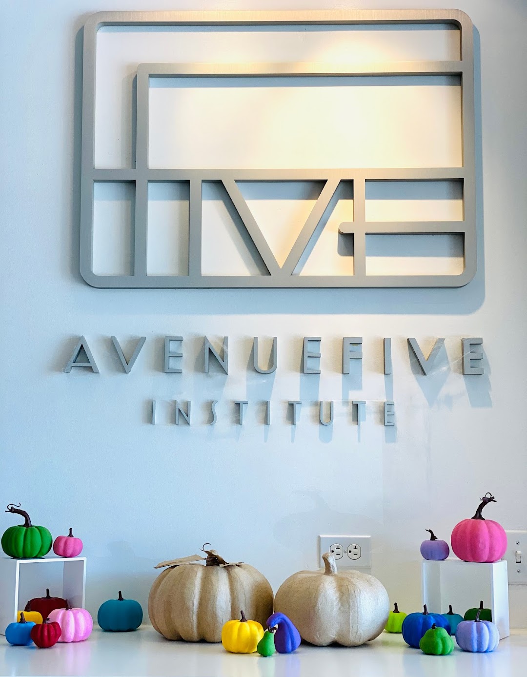 Avenue Five Institute
